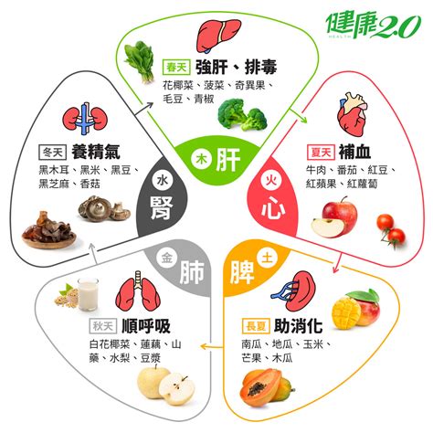 食物顏色 五行